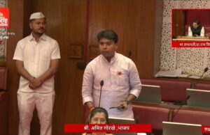 सर्वसामान्य जनतेच्या हितासाठी पिंपरी-चिंचवड विकास आराखडा (DP) तात्काळ रद्द करावा” -आमदार अमित गोरखे