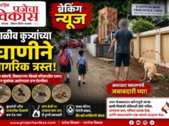 मीना कॉलनी, विकासनगर-किवळे येथे पाळीव कुत्र्यांच्या अस्वच्छतेचा त्रास; नागरिक संतप्त