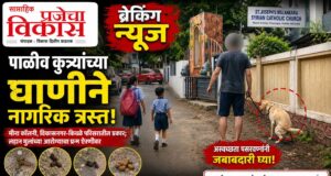 मीना कॉलनी, विकासनगर-किवळे येथे पाळीव कुत्र्यांच्या अस्वच्छतेचा त्रास; नागरिक संतप्त