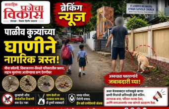 मीना कॉलनी, विकासनगर-किवळे येथे पाळीव कुत्र्यांच्या अस्वच्छतेचा त्रास; नागरिक संतप्त